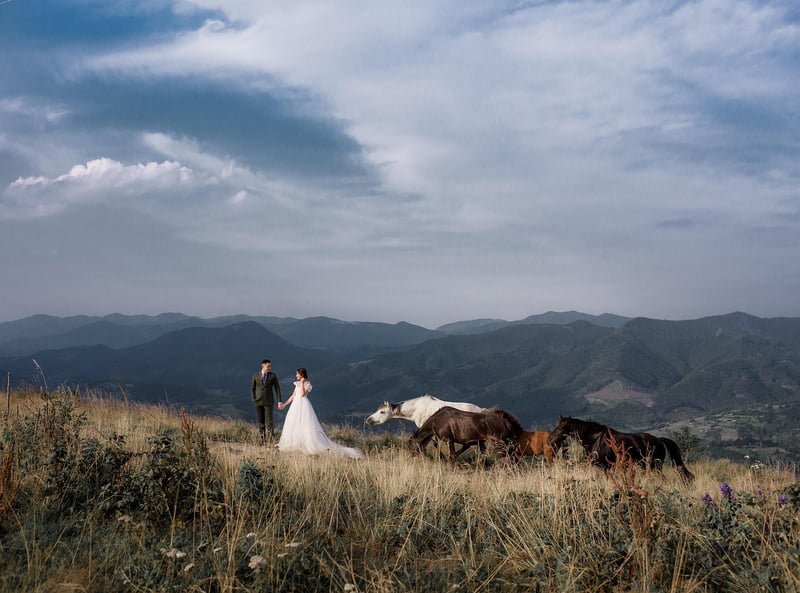 Barn Wedding Venue