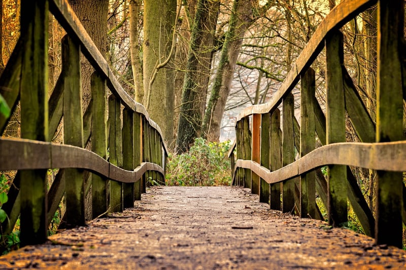 Bridge Centerpiece